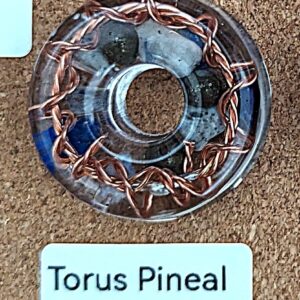 Torus Pineal