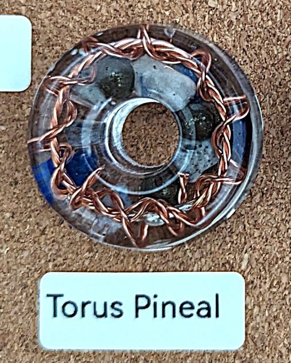 Torus Pineal