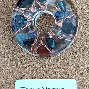 Torus Vagus