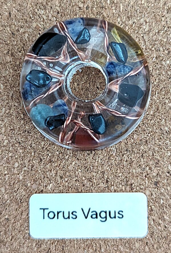 Torus Vagus